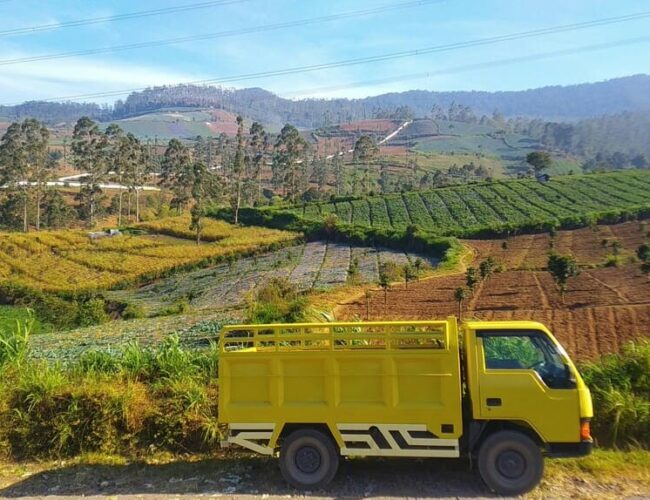 Soluciones innovadoras para optimizar rutas de transporte en Colombia